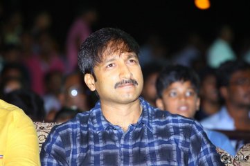 Loukyam Movie Audio Success Function